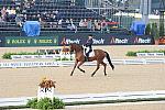 WEG1-9-28-10-DressageGP-5456-DDeRosaPhoto.jpg