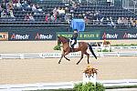 WEG1-9-28-10-DressageGP-5458-DDeRosaPhoto.jpg