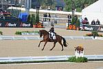 WEG1-9-28-10-DressageGP-5470-DDeRosaPhoto.jpg