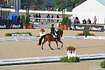 WEG1-9-28-10-DressageGP-5475-DDeRosaPhoto.jpg