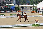 WEG1-9-28-10-DressageGP-5477-DDeRosaPhoto.jpg