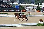 WEG1-9-28-10-DressageGP-5483-DDeRosaPhoto.jpg