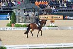 WEG1-9-28-10-DressageGP-5489-DDeRosaPhoto.jpg