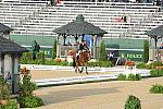 WEG1-9-28-10-DressageGP-5492-DDeRosaPhoto.jpg