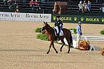 WEG1-9-28-10-DressageGP-5496-DDeRosaPhoto.jpg