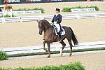 WEG1-9-28-10-DressageGP-5502-DDeRosaPhoto.jpg