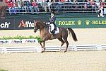 WEG1-9-28-10-DressageGP-5520-DDeRosaPhoto.jpg