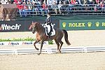 WEG1-9-28-10-DressageGP-5521-DDeRosaPhoto.jpg