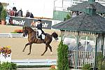 WEG1-9-28-10-DressageGP-5529-DDeRosaPhoto.jpg