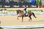 WEG1-9-28-10-DressageGP-5540-DDeRosaPhoto.jpg