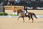 WEG1-9-28-10-DressageGP-5542-DDeRosaPhoto.jpg