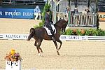 WEG1-9-28-10-DressageGP-5547-DDeRosaPhoto.jpg