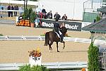 WEG1-9-28-10-DressageGP-5549-DDeRosaPhoto.jpg