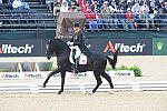 WEG1-9-28-10-DressageGP-5577-DDeRosaPhoto.jpg