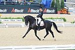 WEG1-9-28-10-DressageGP-5586-DDeRosaPhoto.jpg