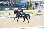 WEG1-9-28-10-DressageGP-5639-DDeRosaPhoto.jpg