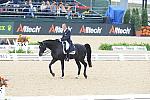 WEG1-9-28-10-DressageGP-5653-DDeRosaPhoto.jpg