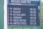 WEG1-9-28-10-DressageGP-5675-DDeRosaPhoto.jpg