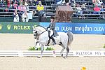 WEG1-9-28-10-DressageGP-5704-DDeRosaPhoto.jpg