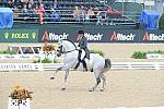 WEG1-9-28-10-DressageGP-5732-DDeRosaPhoto.jpg