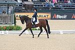 WEG1-9-28-10-DressageGP-5845-DDeRosaPhoto.jpg