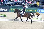WEG1-9-28-10-DressageGP-5904-DDeRosaPhoto.jpg