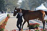 WEG1-9-29-10-EV_Jog-DSC_5245-DDeRosaPhoto.jpg