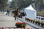 WEG1-9-29-10-EV_Jog-DSC_5304-DDeRosaPhoto.jpg