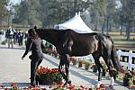 WEG1-9-29-10-EV_Jog-DSC_5334-DDeRosaPhoto.jpg