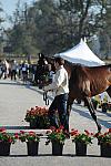 WEG1-9-29-10-EV_Jog-DSC_5362-DDeRosaPhoto.jpg