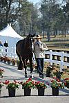 WEG1-9-29-10-EV_Jog-DSC_5366-DDeRosaPhoto.jpg