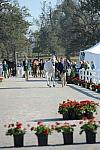 WEG1-9-29-10-EV_Jog-DSC_5393-DDeRosaPhoto.jpg
