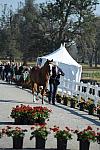 WEG1-9-29-10-EV_Jog-DSC_5462-NevilleBardos-BoydMartin-DDeRosaPhoto.jpg