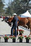 WEG1-9-29-10-EV_Jog-DSC_5465-NevilleBardos-BoydMartin-DDeRosaPhoto.jpg