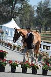 WEG1-9-29-10-EV_Jog-DSC_5532-DDeRosaPhoto.jpg