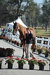 WEG1-9-29-10-EV_Jog-DSC_5535-DDeRosaPhoto.jpg