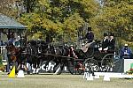 Driving-WEG4-10-10-10-DR-Cones-6012-BoydExell-DDeRosaPhoto.jpg