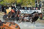 WEG4-10-9-10-DR-Marathon-3206-IjsbrandChardon-NED-DDeRosaPhoto.jpg