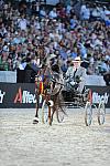 WEG1-9-25-10-DSC_2435-DDeRosaPhoto.jpg