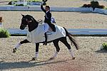 WEG1-9-29-10-DRE-Special-9289-EdwardGal-Totilas-DDeRosaPhoto.jpg