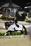 WEG2-10-1-10-DRE-Freestyle-2952-EdwardGal-Totilas-DDeRosaPhoto.jpg
