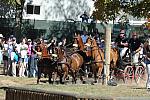 WEG4-10-9-10-DR-Marathon-0336-ChesterWeber-DDeRosaPhoto.jpg