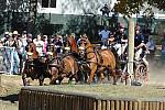 WEG4-10-9-10-DR-Marathon-0337-ChesterWeber-DDeRosaPhoto.jpg