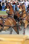 WEG4-10-9-10-DR-Marathon-0350-ChesterWeber-DDeRosaPhoto.jpg