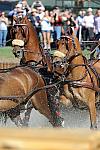 WEG4-10-9-10-DR-Marathon-0351-ChesterWeber-DDeRosaPhoto.jpg