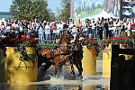 WEG4-10-9-10-DR-Marathon-0394-ChesterWeber-DDeRosaPhoto.jpg