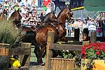 WEG4-10-9-10-DR-Marathon-0406-ChesterWeber-DDeRosaPhoto.jpg