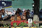 WEG4-10-9-10-DR-Marathon-0408-ChesterWeber-DDeRosaPhoto.jpg