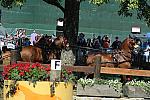 WEG4-10-9-10-DR-Marathon-0409-ChesterWeber-DDeRosaPhoto.jpg