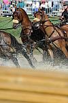 WEG4-10-9-10-DR-Marathon-0423-ChesterWeber-DDeRosaPhoto.jpg